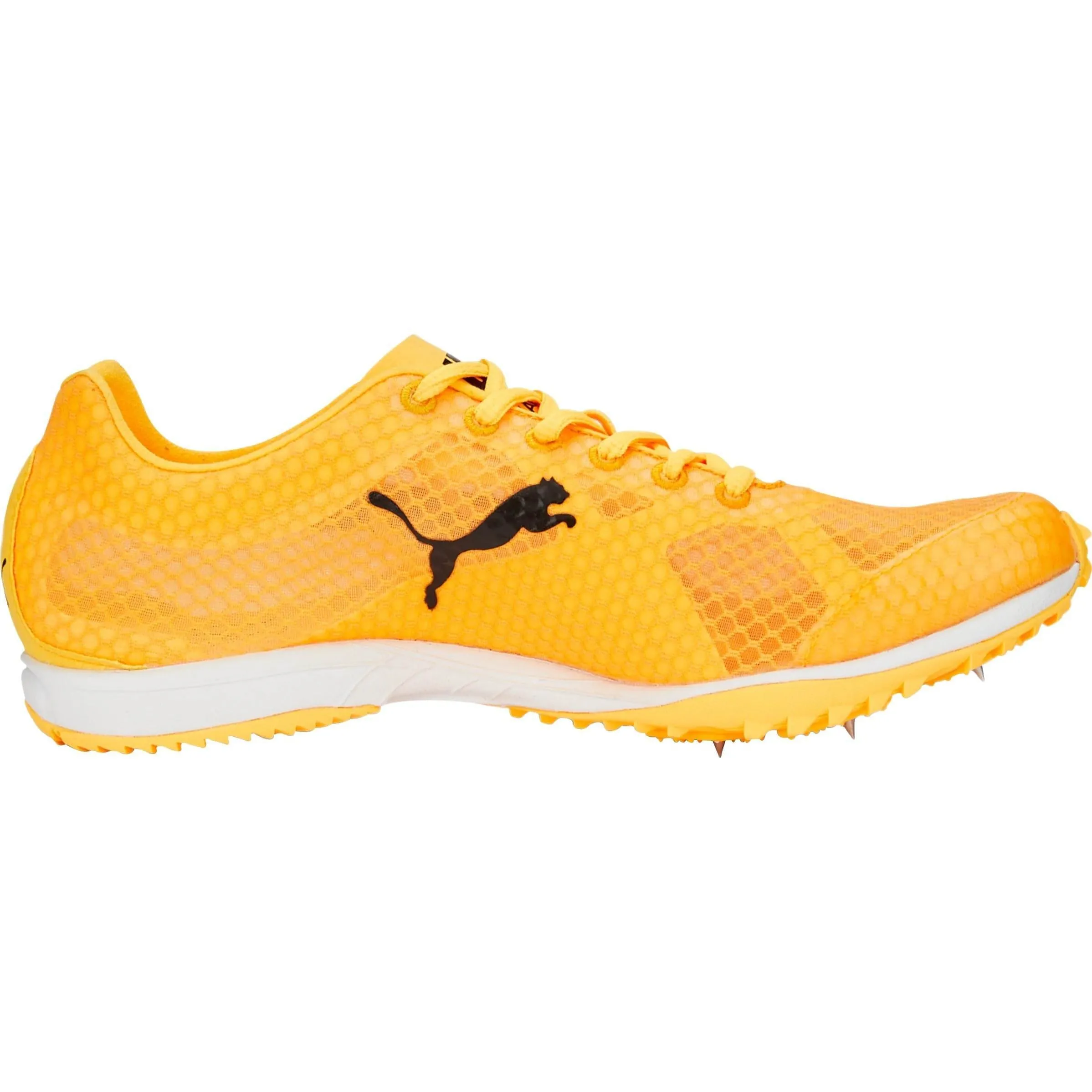 Puma evoSpeed Haraka 7 Cross Country Running Spikes - Orange